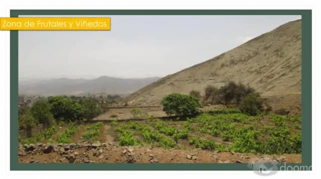 OFERTABLE:S/. 39.000 LOTE de 603m2 Santa Cruz de Flores /Azpitia - 1