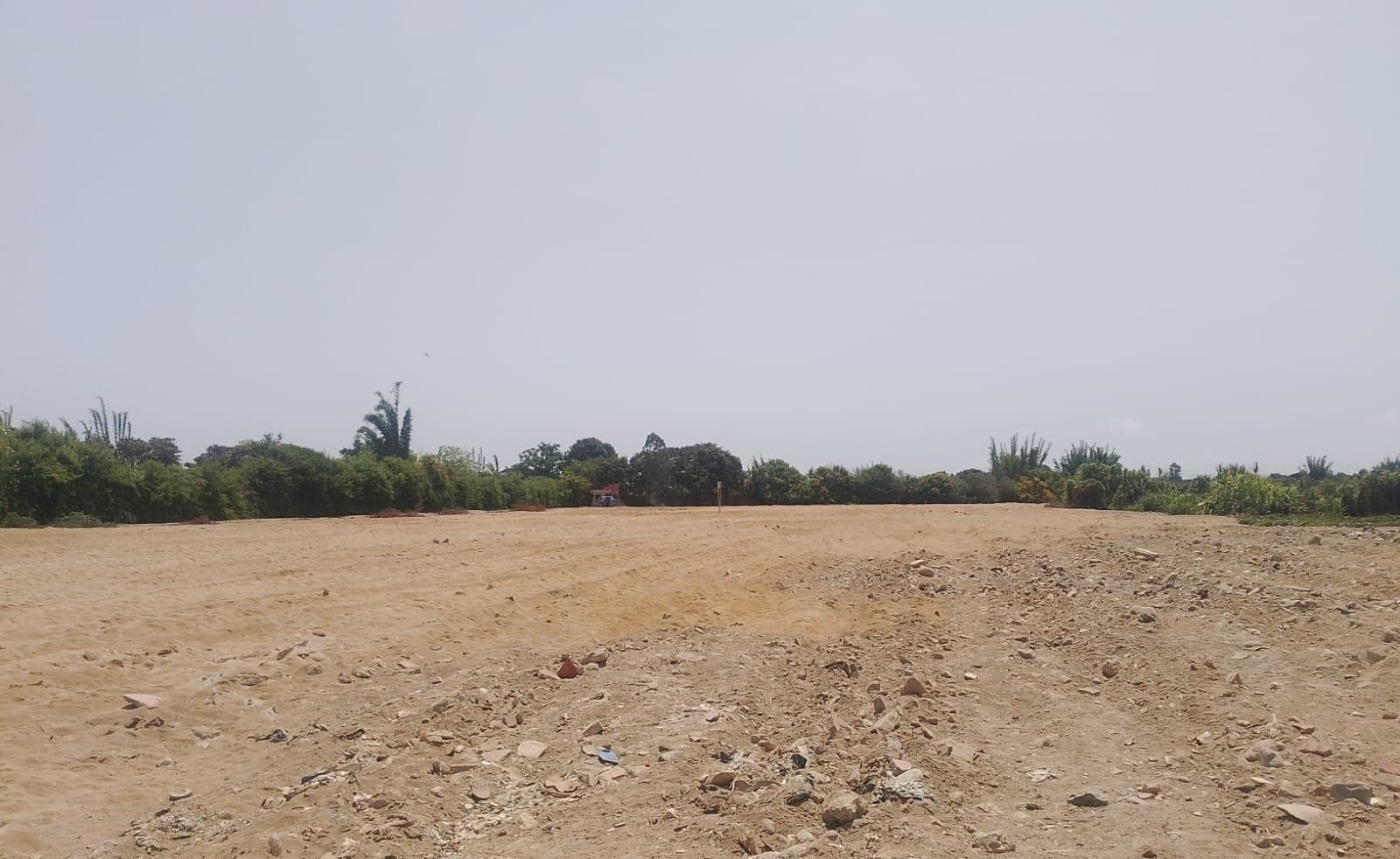 Terreno CHINCHA distrito GROCIO PRADO en zona de Expansión Urbana US$ 40 x m2 - 1