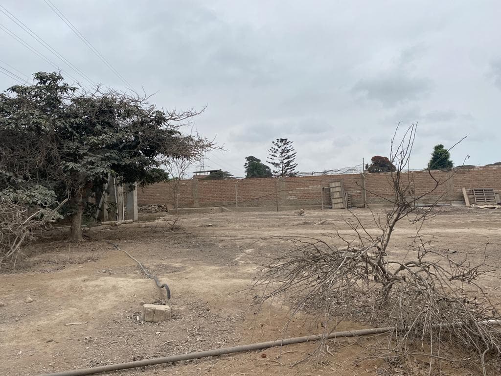 Terreno en Lurín - 1