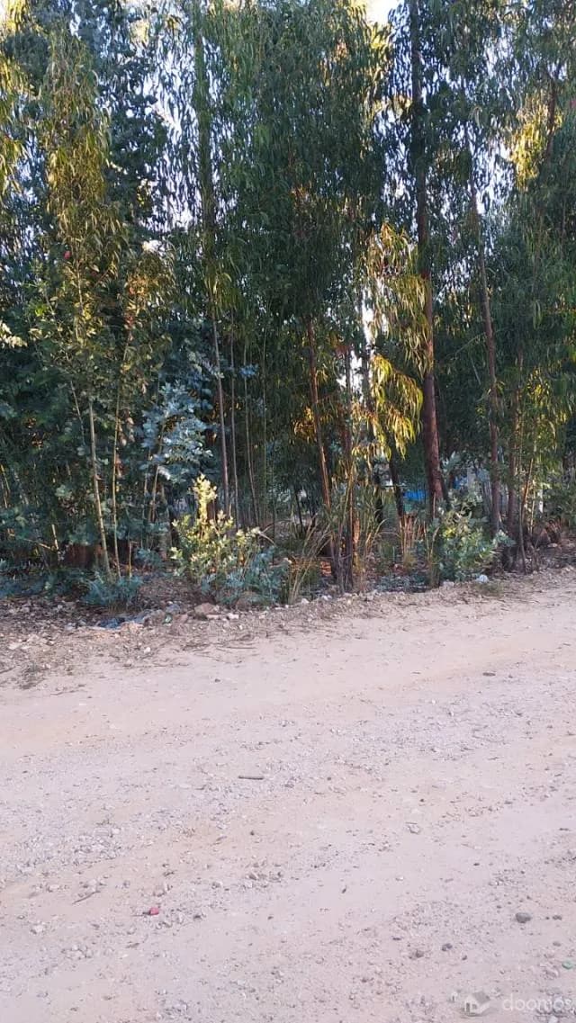 Vendo lote de terreno - 1