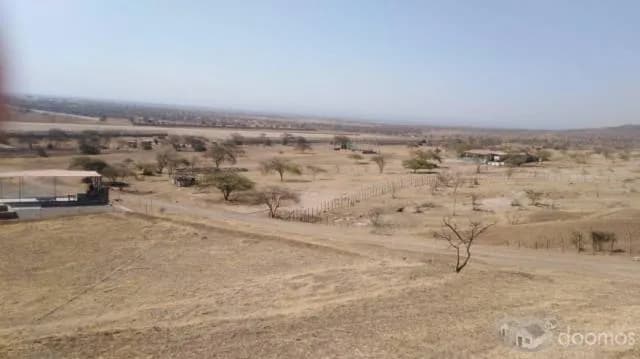 EN VENTA TERRENO RESIDENCIAL COMERCIAL EN CANOAS DE PUNTA SAL, TUMBES - 1