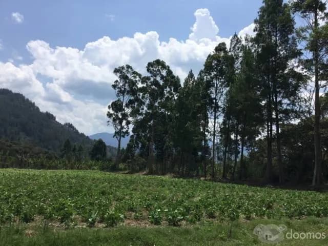 CASA DE CAMPO OXAPAMPA - 1