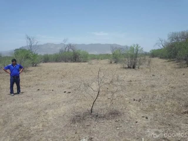 TERRENO PARA AGRICULTURA - 1