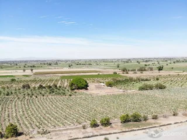 TERRENOS EN LA JOYA DE 200m2 EN VENTA - 1