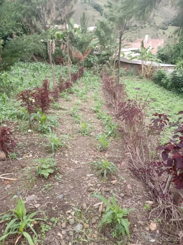 VENTA DE TERRENO CON TITULO DE PROPIEDAD CON PAPELES EN REGLA - 2