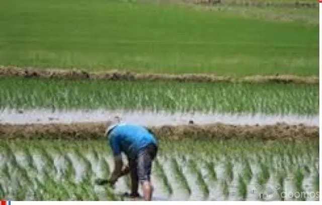 Se vende terreno para agroindustria y proyectos agrícolas - 1