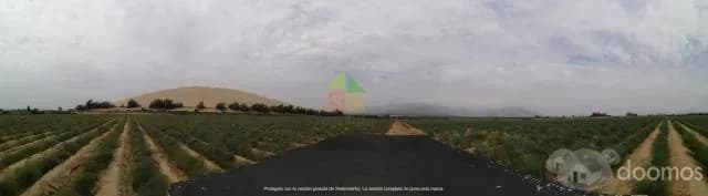 Increíble Terreno Agrícola en Venta en Virú - 1