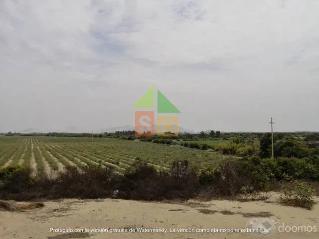 Lindo Terreno en Venta frente a la Panamericana en San Pedro de Lloc - 2