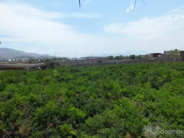 Venta de Terreno en Comas Trapiche - 1