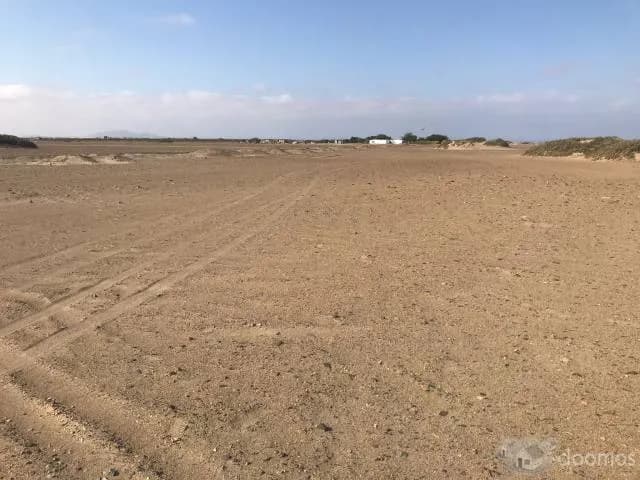 Venta Terreno Agricola (50 Hectáreas ) - 1