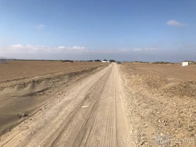 Venta Terreno Agricola (50 Hectáreas ) - 2