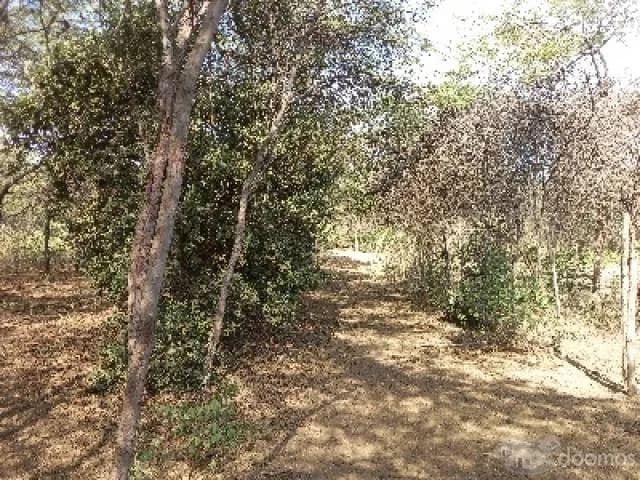 Terreno para casa autosostenible - 1