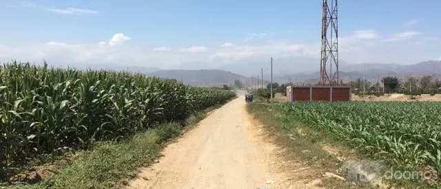 FRUCTÍFERA PARCELA 4 HAS. EN CAÑETE! - 1