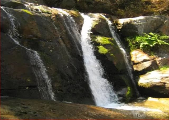 Ocasión Vendo Terreno En Ancash 1.827.00 Ha - 1