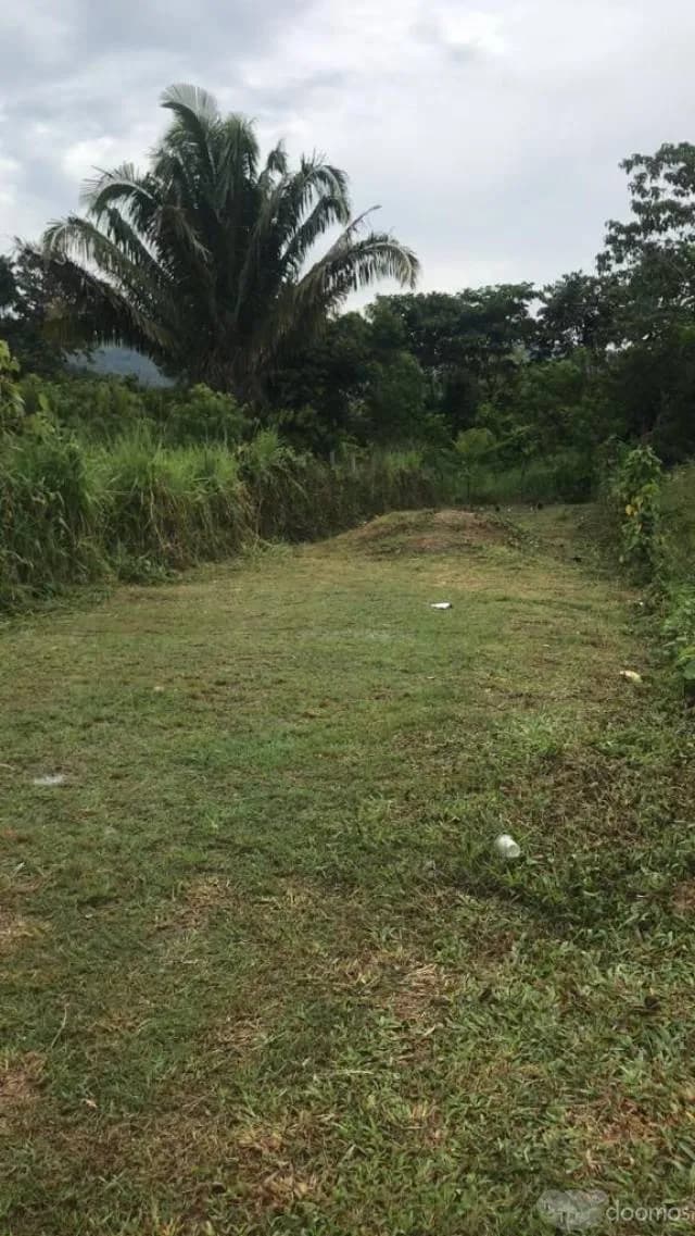 Terreno en Venta Sauce - 1