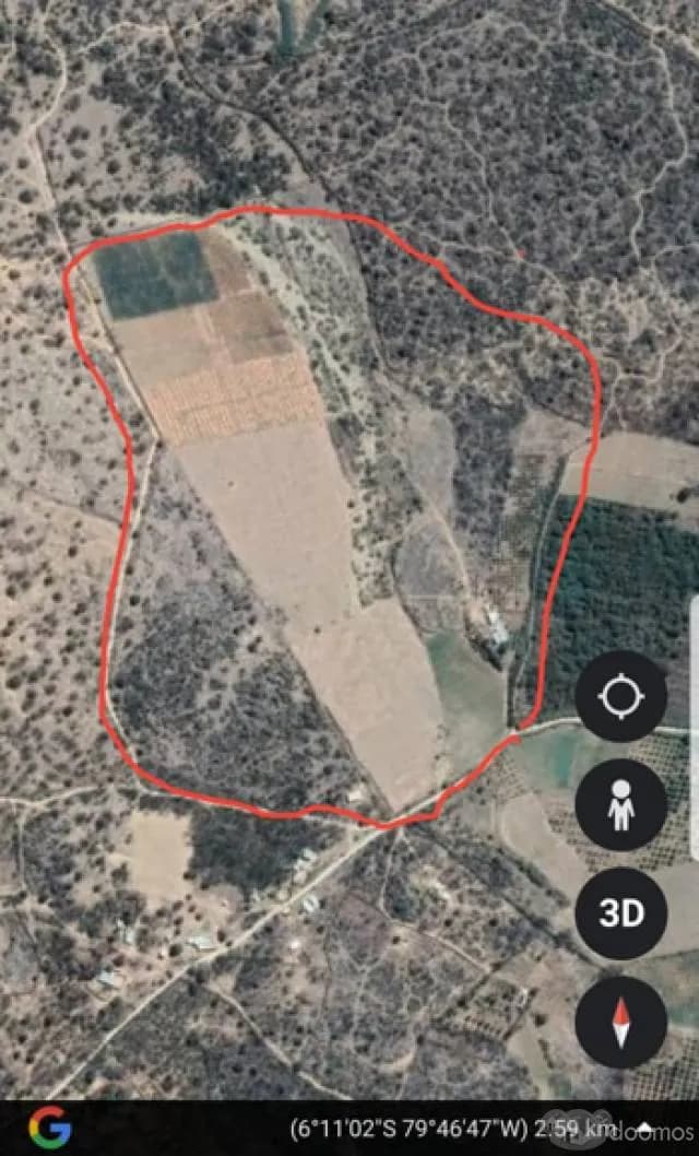 TERRENO AGRICOLA 28 (VENTIOCHO) HECTAREAS EN PLANO, (SECTOR HUMEDADES) UBICADO A 15 MIN DE LA PLAZA DE ARMAS DE MOTUPE-LAMBAYEQUE. - 1