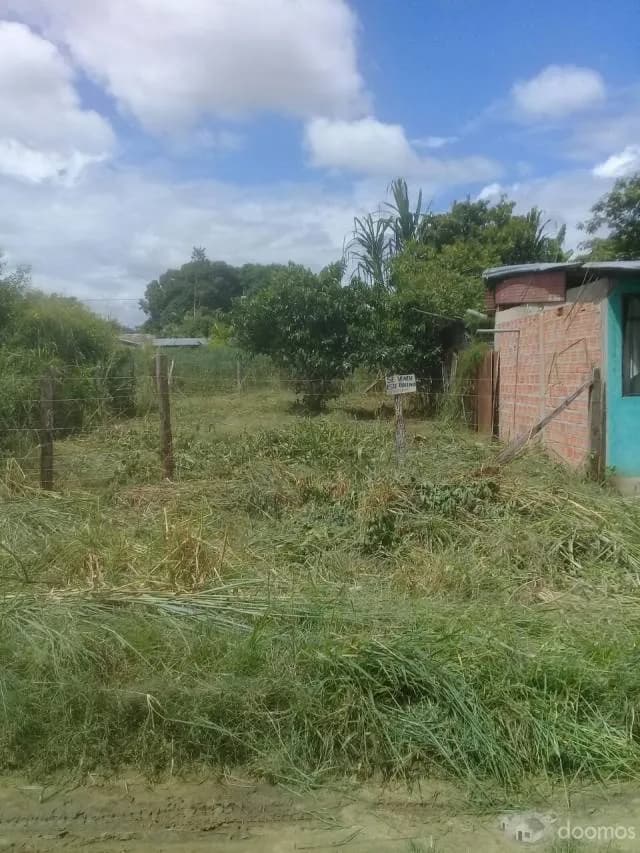 vendo terreno la planicie morales tarapoto - 1
