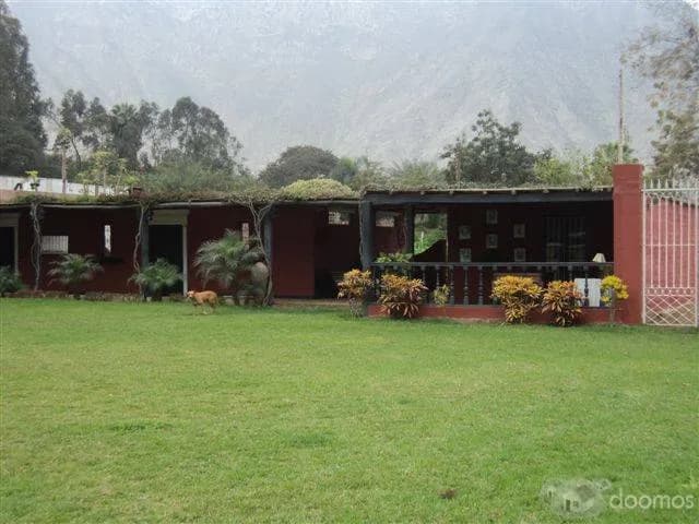 Alquiler de terreno para reuniones - 1