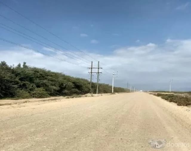 VENTA TERRENO AGRICOLA EN OLMOS 1,700 Has Colindante PEOT - 1