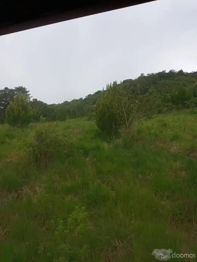 Precioso terreno de 7 ha en Quillazu Oxapampa - 1