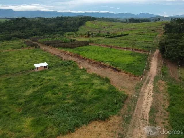 TERRENO EN VENTA TARAPOTO A 15 MINUTOS DE AEROPUERTO - 1