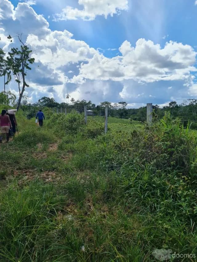 Fundó en venta de 60 Has.$ 90,000 - 1