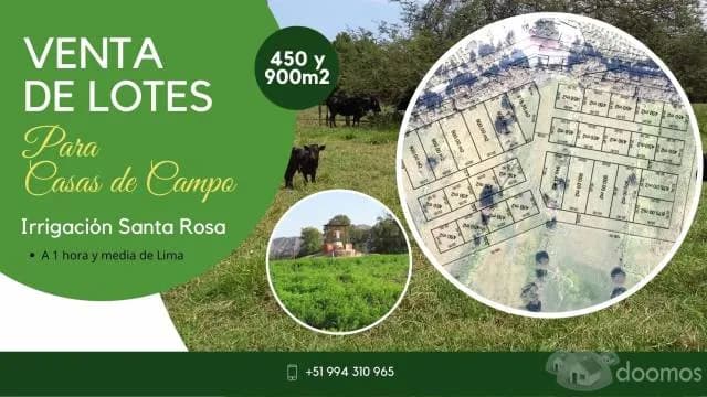 Venta de Lotes para Casa de Campo en IRRIGACIÓN SANTA ROSA - 1