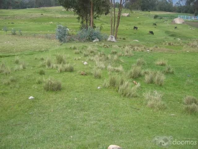 Vendo Terreno de 2,998.52 m2  en Cachipampa - Independencia-Huaraz-Ancash. Precio 160 soles el m2. Excelente Ubicación. A 20 minutos de la ciudad de HUARAZ - 2