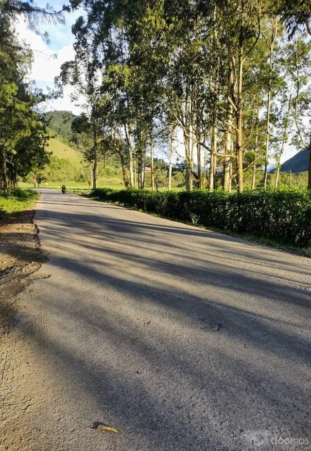 VENTA DE TERRENO PARA CASA DE CAMPO EN OXAPAMPA - 2