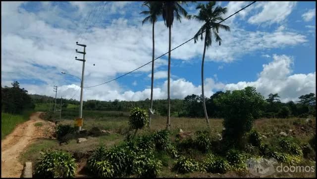 Venta de Terreno en Morales (Sector Maronilla) - 2