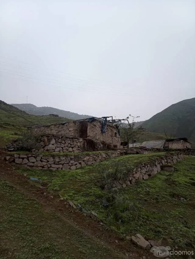 TRANSPASO DE PROYECTO AGRICOLA - 1