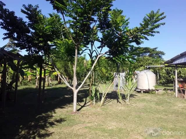 Oportunidad de Inversión en la selva de Perú - Investment Opportunity at the jungle of Perú - 2