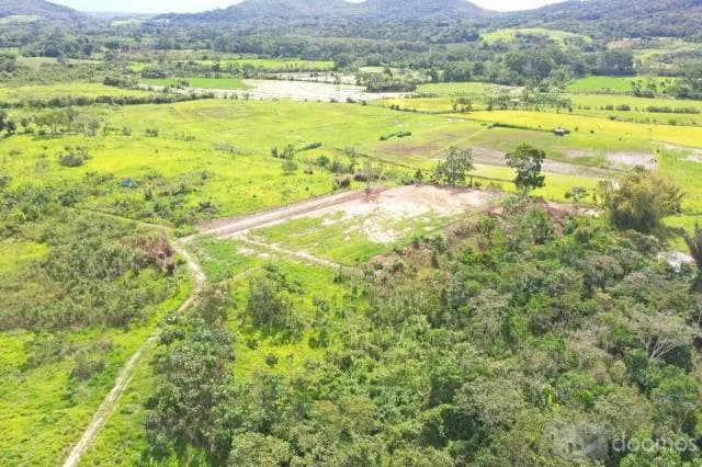 vendo terreno especial para lotizar y sembrio de arroz para lugar turistico - 2