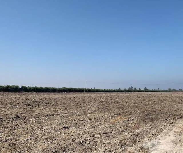 TERRENO AGRICOLA 6 HECTAREAS Carretera Libertadores - Pisco - 1