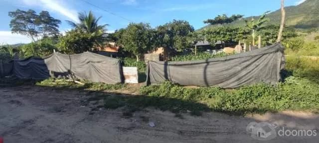 PRECIO NEGOCIABLE - Venta de 2 lotes POR OCASIÓN - Unión Capiri - Rio Negro - Satipo - 1