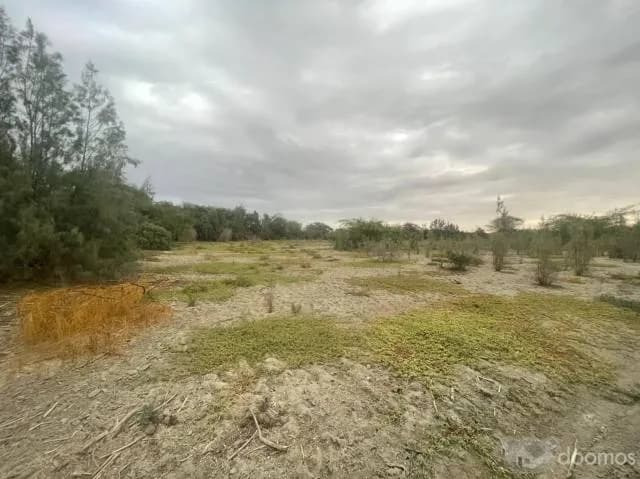 VENTA DE TERRENO EN CIENEGUILLO SUR - 1