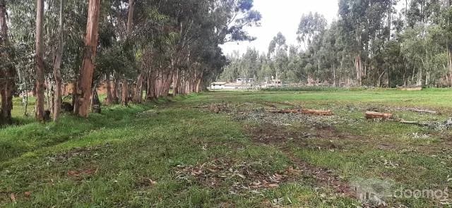 Venta De Terreno En Concepción 6425 M2 - 2