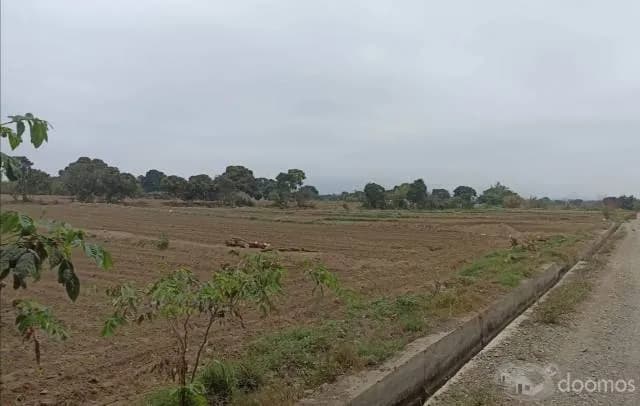 VENTA DE TERRENO AGRICOLA EN CHEPEN TALAMBO - 1