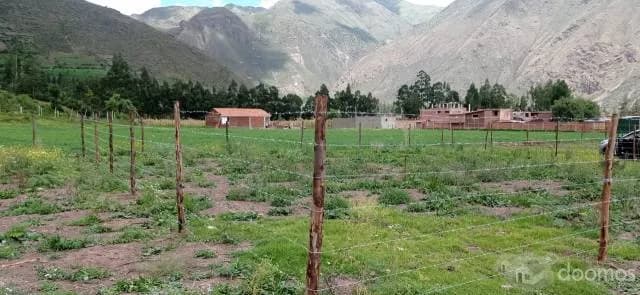 VENDO TERRENO DE 400 M2 EN CALCA - 1