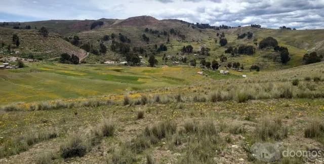 Terreno en Rosaspata, Puno, Peru (Negociable) - 1