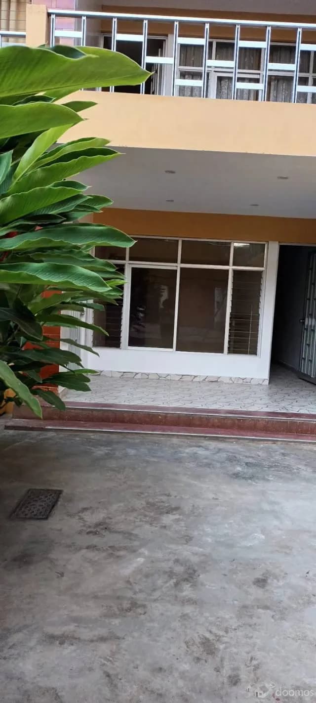 Alquilo Casa en Tingo María (primer piso) - 2