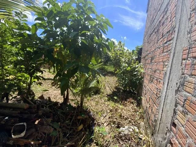 ALQUILER CASA-OFICINA-TERRENO EN IQUITOS/ A UNOS PASOS DE PLAZA MÚNICH - 1