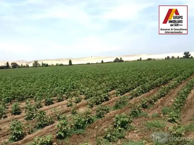 VENTA DE TERRENO PARA CASAS DE CAMPO Y PLAYA IDEAL PARA CABALLERIZAS DE 4.17 Has EN CAUCATO PISCO - 1