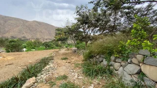 TERRENO VENTA SIMBAL - PEDREGAL - 1