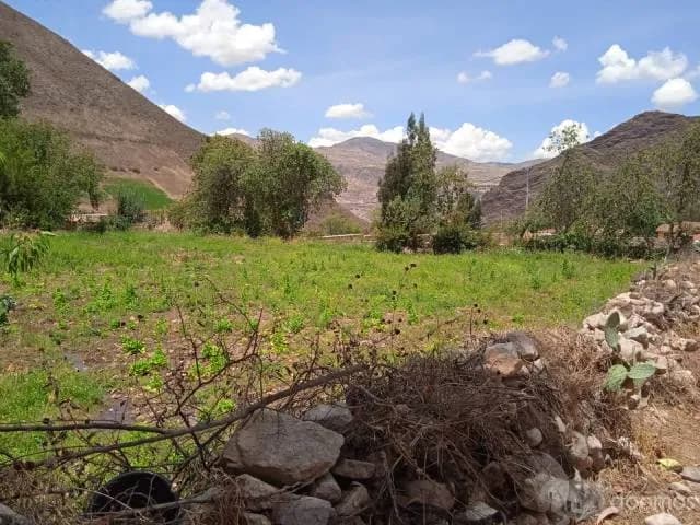 venta de terreno sector Yanacona_ Chicon - 1