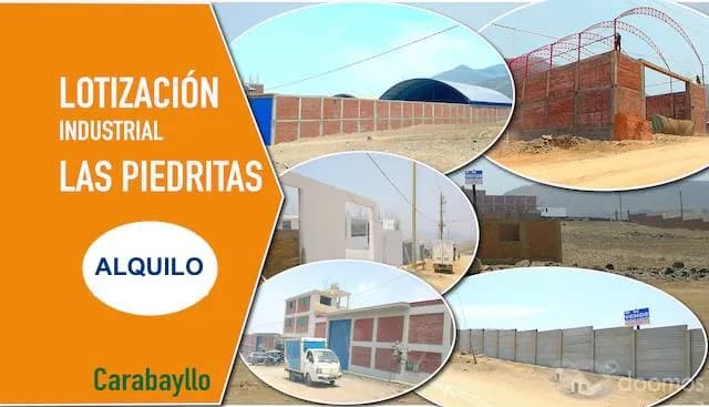 ALQUILER DE TERRENO INDUSTRIAL EN LAS PIEDRITAS CARABAYLLO - 1