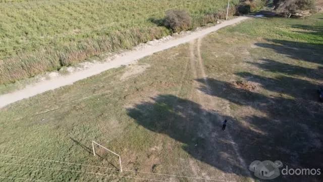 SE VENDE TERRENO DE 5.5 HECTAREAS - TOSCANIA, PISCO - 1