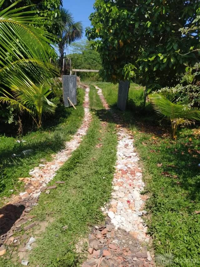 VENTA DE TERRENO CHACRA EN CARRETERA IQUITOS NAUTA - 1