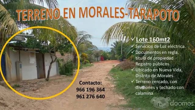 TARAPOTO VENDO LOTE 160mt2, cercado - 2