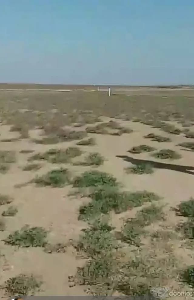 Venta Terreno Agrícola 50 Hectáreas - 1